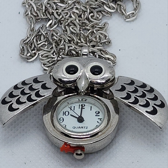 OWL Watch - Picture 10 of 12